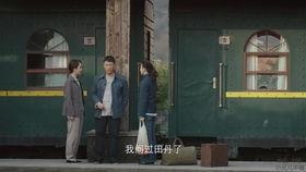 新世界金海背景,繁华背后的传奇岁月