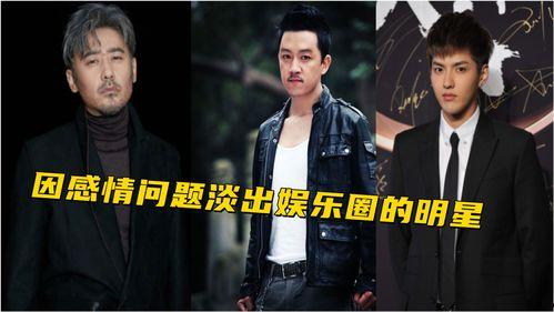 娱乐圈黑料2015,揭秘明星背后的真相 第2张 娱乐圈黑料2015,揭秘明星背后的真相 第2张