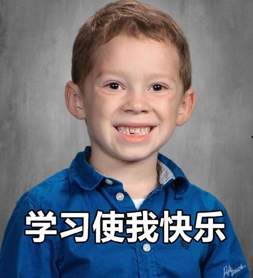 gavin表情包扯衣领